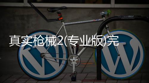 真实枪械2(专业版)完整版下载