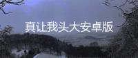 真让我头大安卓版