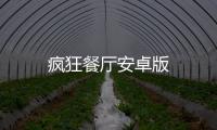 疯狂餐厅安卓版