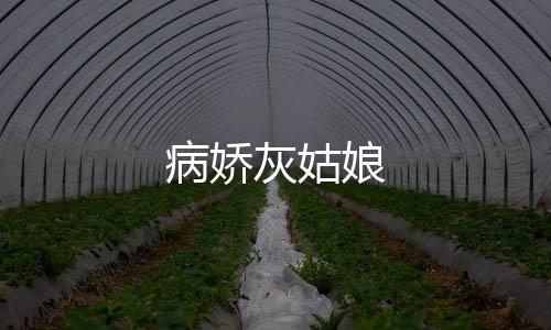 病娇灰姑娘下载