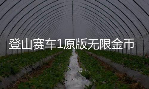 登山赛车1原版无限金币下载