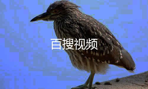 百搜视频下载