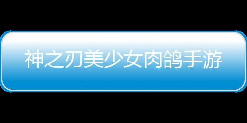 神之刃美少女肉鸽手游下载