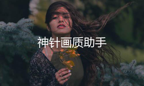 神针画质助手下载