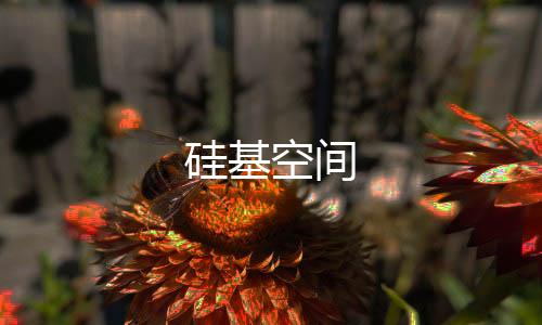 硅基空间下载
