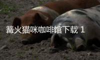 篝火猫咪咖啡馆下载 1.2.8