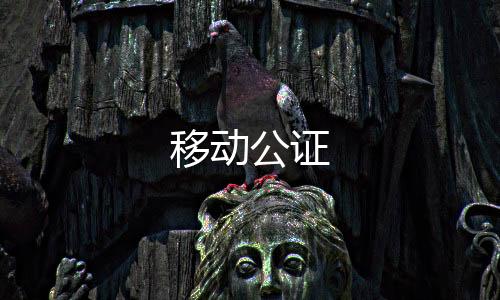 移动公证下载