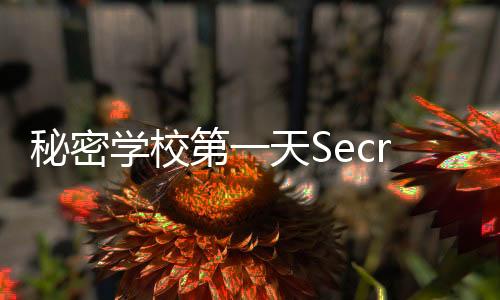 秘密学校第一天SecretSchool最新版下载