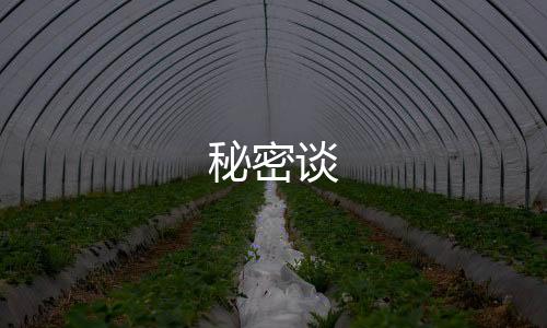 秘密谈下载