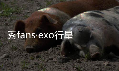 秀fans·exo行星饭主题桌面下载