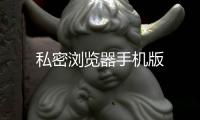 私密浏览器手机版