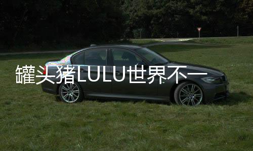 罐头猪LULU世界不一样的消消乐下载