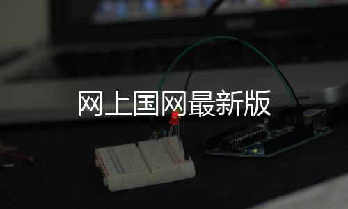 网上国网最新版下载