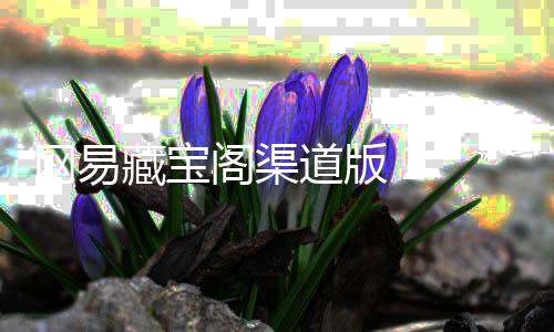 网易藏宝阁渠道版 2.3.4下载