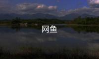 网鱼