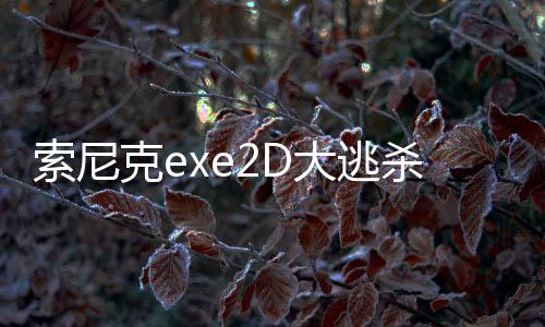 索尼克exe2D大逃杀游戏(Sonic Exe Disaster 2D Remake)下载
