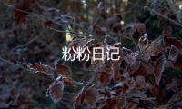 粉粉日记