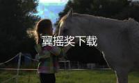 翼摇奖下载
