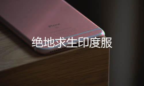 绝地求生印度服下载