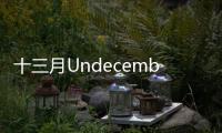 十三月Undecember国际服