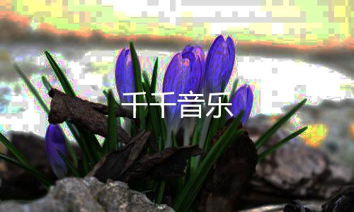 千千音乐下载