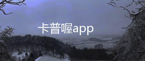 卡普喔app下载