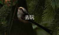 去玩