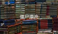 僵尸漂流