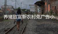 养猪致富新农村免广告小游戏