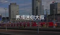 养成迷你大叔