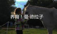 养育！曼·德拉子