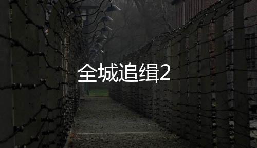 全城追缉2下载