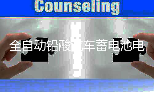 全自动铅酸汽车蓄电池电瓶充电器12V24V货车摩托车智能脉冲充电机下载