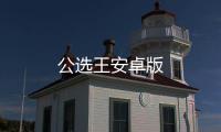 公选王安卓版