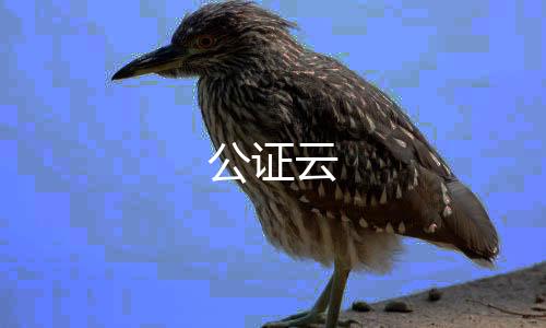 公证云下载
