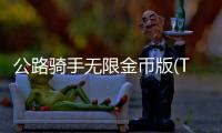 公路骑手无限金币版(Traffic Rider)