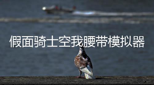 假面骑士空我腰带模拟器豪华版Arcle Sonic Wave下载