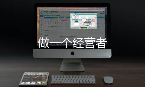 做一个经营者下载