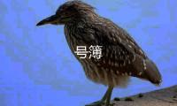 号簿