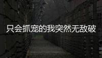 只会抓宠的我突然无敌破解版