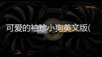 可爱的袖珍小狗英文版(Cute Pocket Puppy 3D - Part 2)