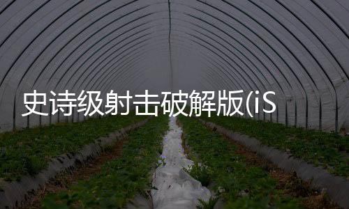 史诗级射击破解版(iSurvivor: Epic Shoot Em Up)下载