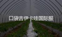 口袋吉伊卡哇国际服