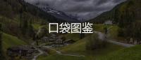 口袋图鉴