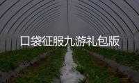 口袋征服九游礼包版