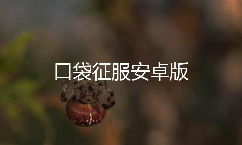 口袋征服安卓版下载