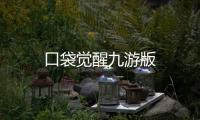 口袋觉醒九游版