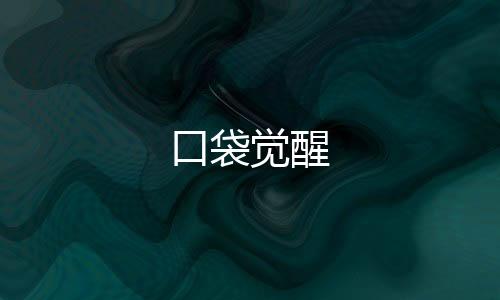 口袋觉醒下载