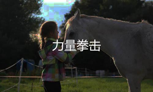 力量拳击下载