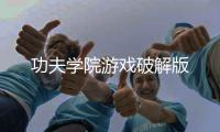 功夫学院游戏破解版